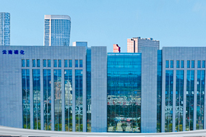 云南磷化集團有限公司