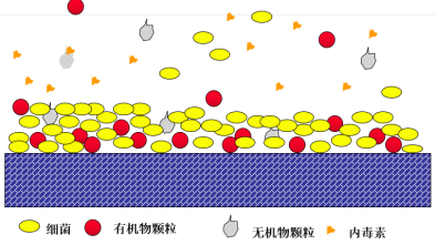 假期歸來，實驗室純水系統(tǒng)這樣維護，避免實驗